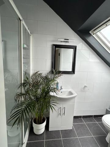 The Lodge, Monkstown Monkstown  Экстерьер фото